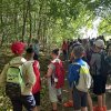 Karstwanderung